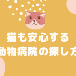 猫も安心する動物病院の探し方
