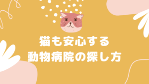 猫も安心する動物病院の探し方