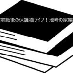 保護猫との生活が楽しく学べちゃう！【空前絶後の保護猫ライフ！池崎の家編】