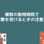 複数の動物病院で診察を受けるときの注意点
