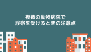 複数の動物病院で診察を受けるときの注意点
