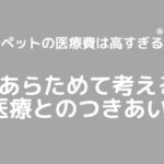 ペットの医療費は高すぎる？あらためて考える医療とのつきあい方