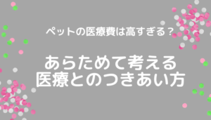 ペットの医療費は高すぎる？あらためて考える医療とのつきあい方