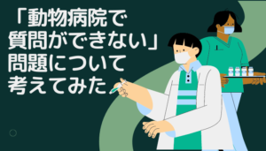 「動物病院で質問ができない」問題について考えてみた