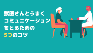 獣医さんとうまくコミュニケーションをとるための5つのコツ