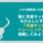 これで病院通いも安心！猫と洗濯ネットをなかよしにする「洗濯ネットトレーニング」に挑戦してみよう！