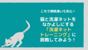 これで病院通いも安心！猫と洗濯ネットをなかよしにする「洗濯ネットトレーニング」に挑戦してみよう！