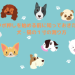 ツボ押しを始める前に知っておきたい！犬・猫の１寸の測り方