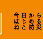 愛猫を在宅避難で守るためのノウハウ満載本【今日からはじめるねこ防災】