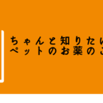 ペットのお薬疑問あるあるを解決!【ちゃんと知りたいペットのお薬のこと】