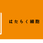 猫好き必見！獣医師も唸った『はたらく細胞 猫』で、楽しく本格的に学ぼう